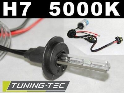 Lampadine HID H7 5000K