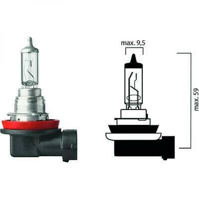Lampadina H16 12V 19W PGJ19-3