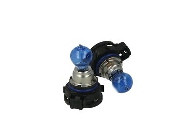 Lampada PS19W 12V 19W PG20-1 Super White Effetto Xenon Bianco Per Tiguan Jag
