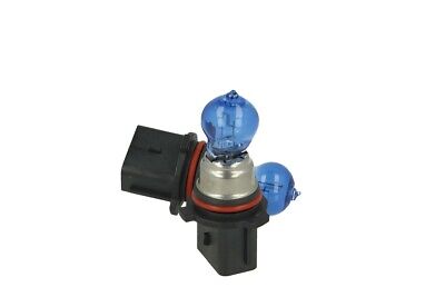 Coppia 2 Lampade lampadine P13W 12V PG18.5d-1 Effetto Xeno Bianco Sostit