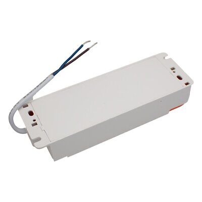 Led Driver CC 1000mA 33V-40VDC 40W Dimmerabile 0-10V Alimentatore Corrente