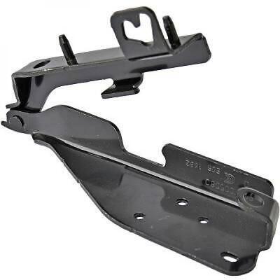 Cerniera cofano destro C3 02-09 esclusa Pluriel