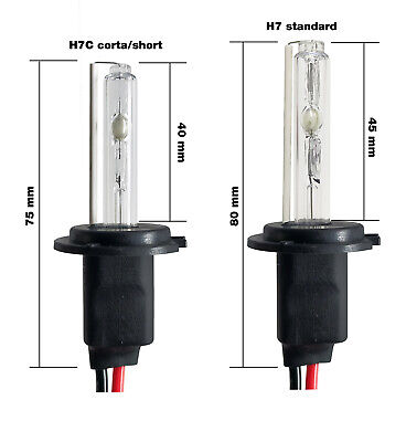 H7 Xenon Canbus Slim 6000°K short 2 lampade corte schermate + ballast 35W e