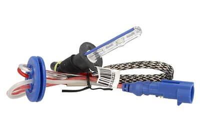 Lampada Hid Xenon H1 6000K Accensione Piu Veloce +50% Luminosita 35W Bulbo Con