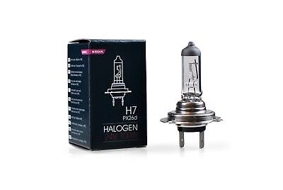 Lampada alogena M-TECH PX26d 24V/100W H7