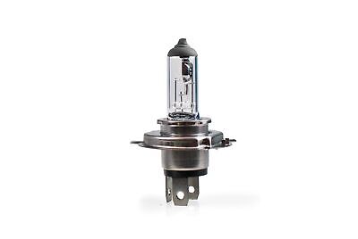 Lampada alogena M-TECH P43t 12V/100/90W H4