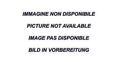 CIVIC TYPE-R 2.0I (320CV) 2017-- Posteriore con uscita centrale 3 x diam.