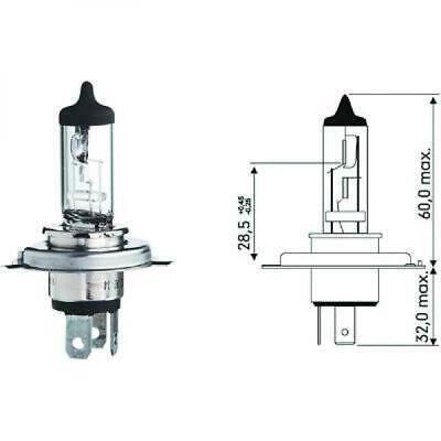 Lampadina H4 12V 60/55W P43t Standard