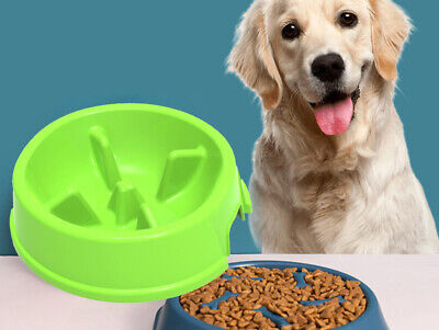 Ciotola Slow Food Per Cani e Gatti Diametro 24cm Altezza 6,5cm Capacit&agrave;