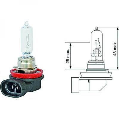 Lampadina H9 12V 65W PGJ19-5