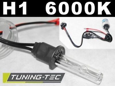 Lampadine HID H1 6000K
