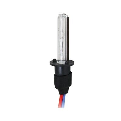 H1 Xenon 6000°K 1 lampada 2600 lm 35W 12V