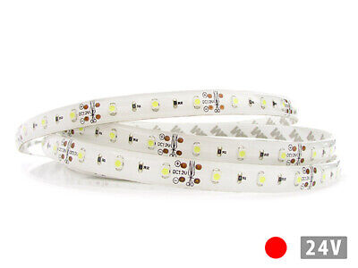 24V Bobina Led 5 Metri 300 Smd 3528 Colore Rosso Tagliabile IP65 Biadesivo Per