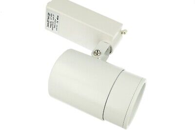 Faro Lampada Led A Binario Trifase 30W Bianco Neutro Carcassa Bianca Luce Stret