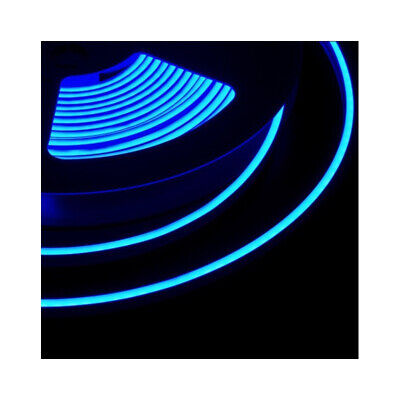 24V Bobina Led Neon Flex Colore Blu 10 Metri IP65 10W/M Tagliabile Dove Vuole
