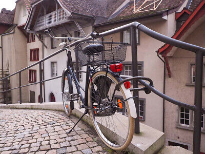 Catena Antifurto Bici Con 2 Chiavi 15X800mm Colore Nero <div> <ul>