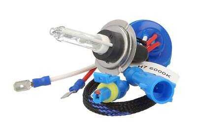 Lampada Hid Xenon H7 6000K Accensione Veloce +50% Luminosita 35W Attacco In