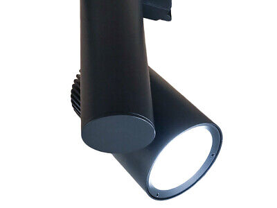 Faro Lampada Led A Binario 30W Trifase CCT CRI 90 Carcassa Nera 2700K 4000K