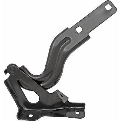 CERNIERA COFANO COMPATIBILE CON VW DESTRA. POLO, 17-