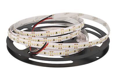 24V Bobina Led 24W/M CRI 90 Bianco Caldo 1400 Smd 2216 5 Metri