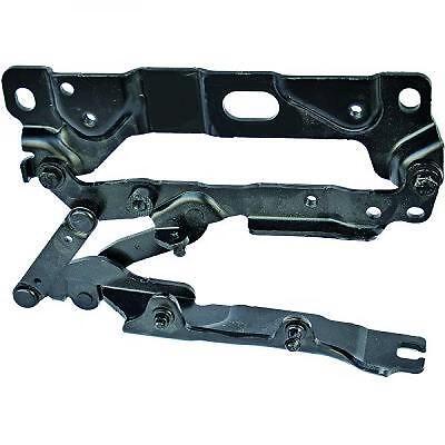 Cerniera cofano destra Serie 5 F10 F11 10-