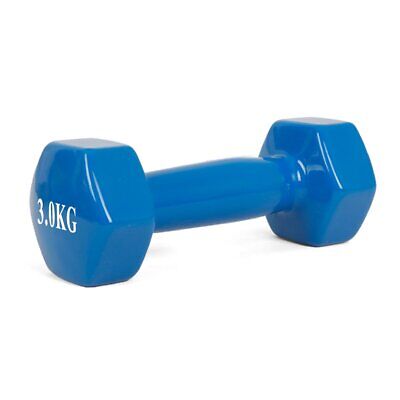 Ghisa Manubrio per Palestra Ricoperto di Gomma 3 Kg <ul><li>Manubri Rivestiti