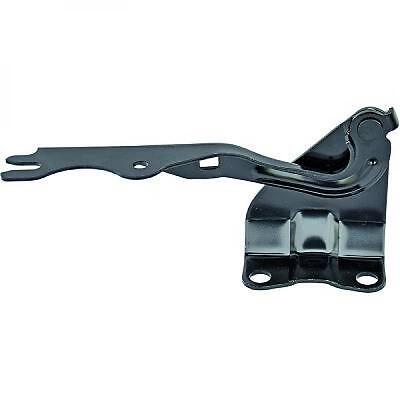 Cerniera cofano destra 2 07-