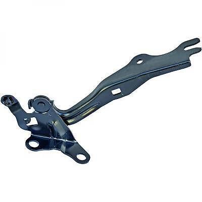 Cerniera cofano sinistra 6 02-08