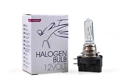 Lampada alogena M-TECH PGJY19-5 12V/65W H9B