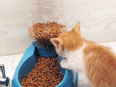 Dispenser Acqua Cani Gatti 0,65 Litri Ricarica Automatico <ul> <li>Dispenser