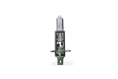 LOTTO DI 10 PEZZI Lampada alogena M-TECH Premium H1 P14.5s 55W 12V