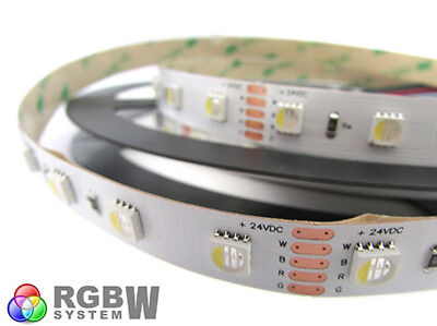 24V Bobina Led RGBW Bianco Freddo 30W/M 300 Smd 5 Metri IP20 RGB+CW
