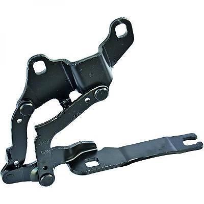 Cerniera cofano destra Serie 3 E92 E93 coupe' cabrio 06-