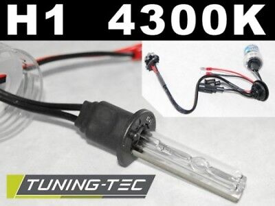 Lampadine HID H1 4300K
