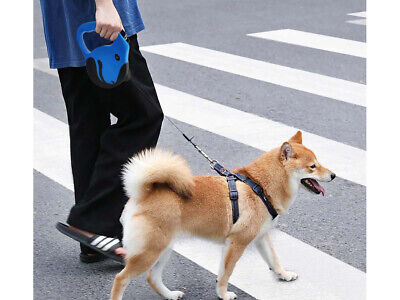 Guinzaglio per Cani 3 Metri Retrattile Colore Blu <ul> <li>Il Cinturino Del è