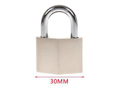 Lucchetto Acciaio Inossidabile 30mm Con 3 Chiavi <ul><li>Lucchetto In