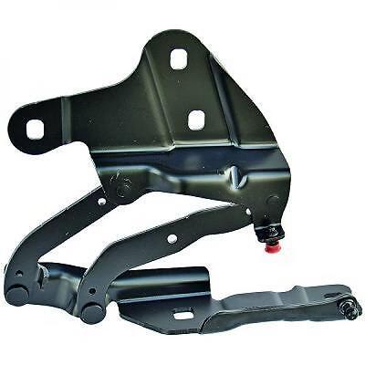 Cerniera cofano destra X1 E84 09-