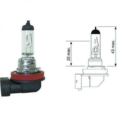 Lampadina H11 12V 55W PGJ19-2
