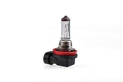 Lampada alogena M-TECH PGJ19-2 12V/55W H11