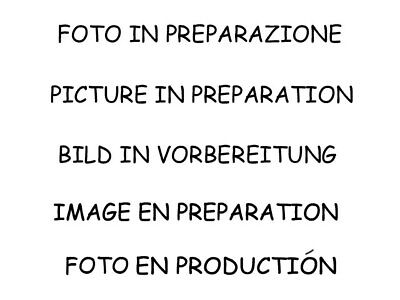 Catalizzatore Gr. N elimina FAP Evoque 2.2 TD4 5porte (110kW) 04/11>15