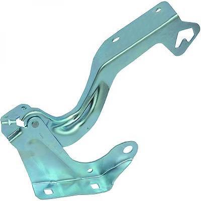 Cerniera cofano destra MICRA 10-