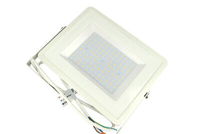 Faro Led Flood Light 100W IP65 Bianco Freddo 6400K Super Slim 30mm Carcassa Bia