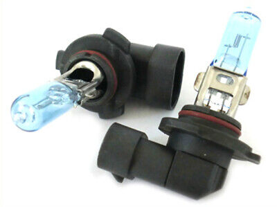 Lampada H10 12V 42W 9145 PY20d Con Effetto XENON Bianco