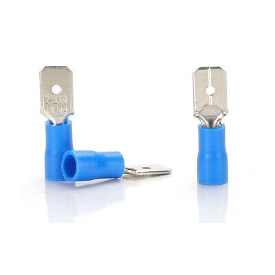 <ul><li>Terminale Capocorda Maschio Piatto (Colore Blu) - Confezione da 10