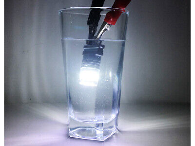 COPPIA LAMPADI Lampade Led T25 3157 3156 Canbus Bianco 12V No Polarita IP67 360°