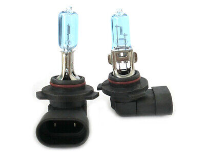Lampada H10 12V 42W 9145 PY20d Con Effetto XENON Bianco