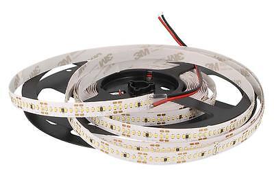 24V Bobina Led 22W/M CRI 90 Bianco Freddo 1400 Smd 2216 5 Metri