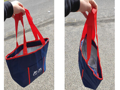 Borsa Frigo 20L Termica Porta Pranzo Misura 47X18X34cm <ul><li>Materiale