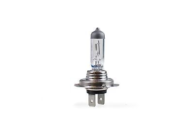 Lampada alogena M-TECH PX26d 12V/100W H7