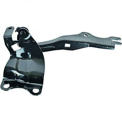 Cerniera cofano sx 3 09-13 BBM2-52-420A